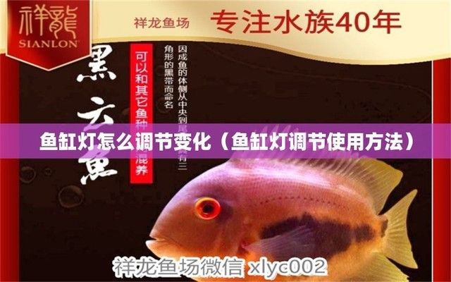 魚缸的燈用什么燈？每天開多久？（熱帶魚魚缸照明燈每天多久開多久最好）