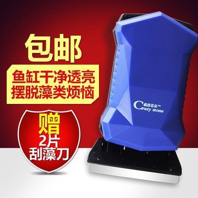 龍魚的排數的相關知識，龍魚排數的計算方法和飼養方法（如何準確判斷龍魚的排數）
