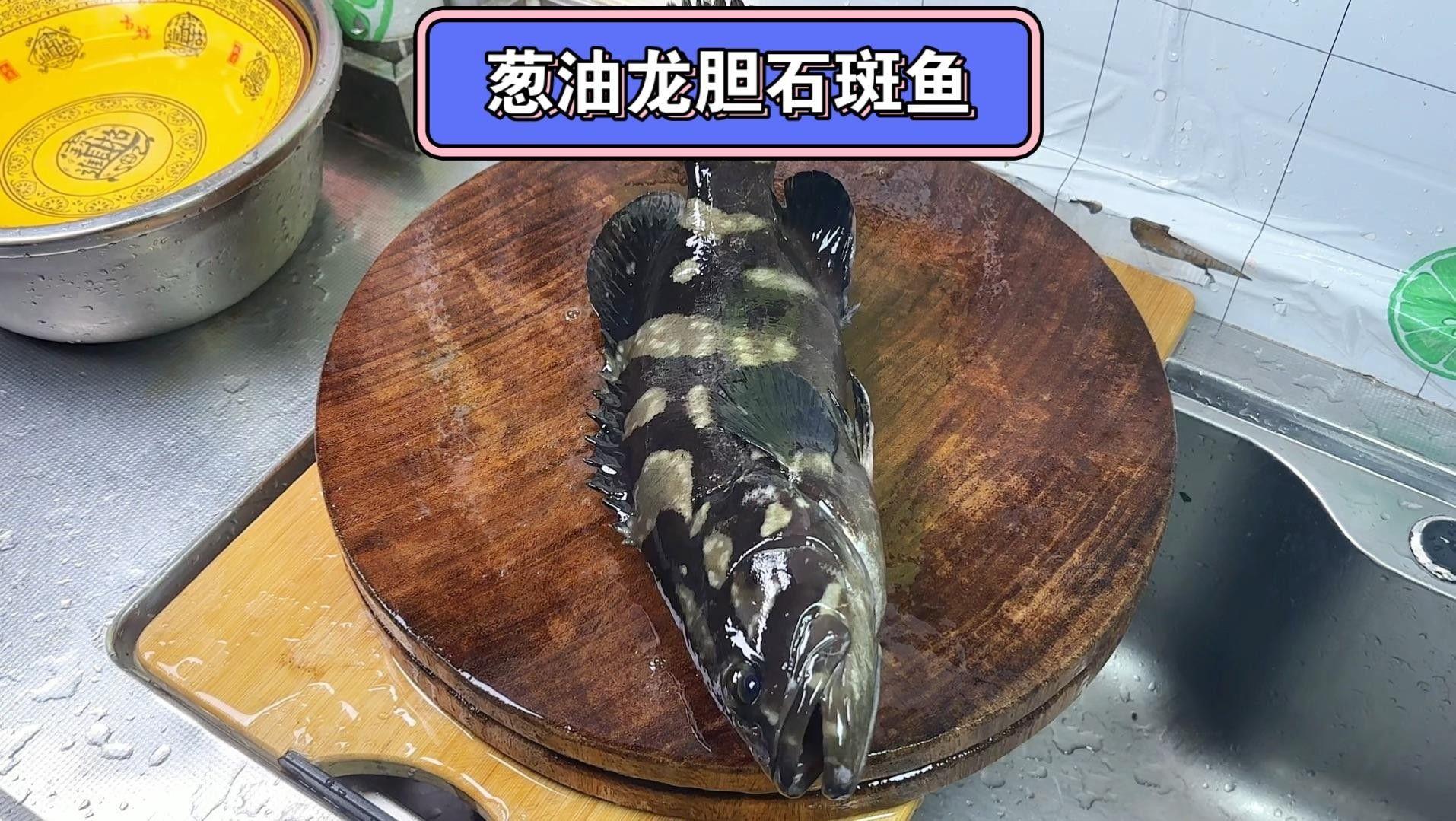 龍膽魚為何不建議吃秦牧歌龍膽魚盡量少吃的幾個原因（為何龍膽魚盡量少吃）