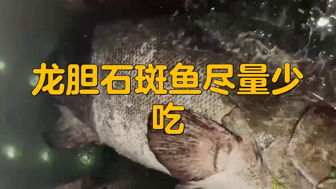 龍膽魚為何不建議吃秦牧歌龍膽魚盡量少吃的幾個原因（為何龍膽魚盡量少吃）