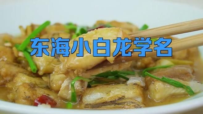 小白龍是什么魚，小白龍的分布范圍有哪些？（小白龍和白金龍魚的區別，小白龍和白金龍魚的區別有哪些）