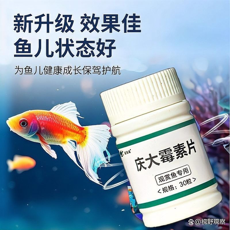 龍魚細菌感染的消炎藥選擇（魚細菌感染的治療需要使用特定的消炎藥物在治療過程中應選擇對龍魚安全的消炎藥物）