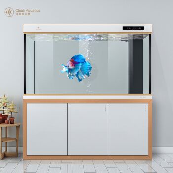 金龍魚玉米油的批發價格表（金龍魚玉米油批發價）