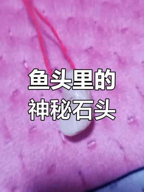 福滿鉆魚最怕的三大威脅（福滿鉆魚最怕三個東西）
