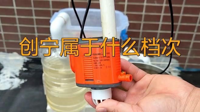 魚缸水管十大品牌排行榜創寧屬于什么檔次創寧屬于什么檔次（2025年魚缸水管十大品牌排行榜創寧屬于什么檔次）