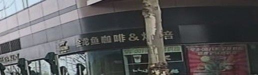 閔行金龍魚大廈（<strong><mark>上海</mark></strong>金龍魚大廈）