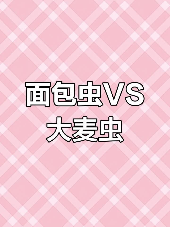 麥蟲和面包蟲的區別在哪（大麥蟲和面包蟲的區別）