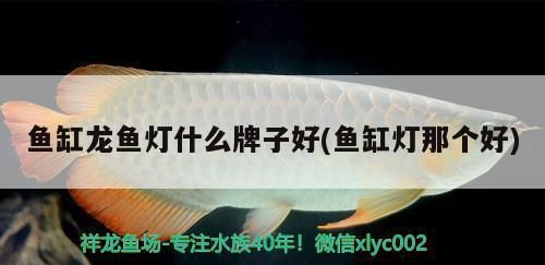 十大龍魚(yú)缸品牌的排名圖片展示（十大龍魚(yú)缸品牌排名及圖片展示龍魚(yú)缸品牌排名）