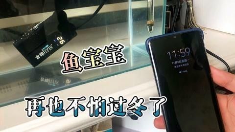 吉印水族是否屬于雜牌，吉印水族的主要競爭對手有哪些（“吉印水族是否屬于雜牌”，吉印水族的主要競爭對手有哪些）