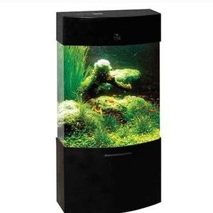 吉印水族是否屬于雜牌，吉印水族的主要競爭對手有哪些（“吉印水族是否屬于雜牌”，吉印水族的主要競爭對手有哪些）