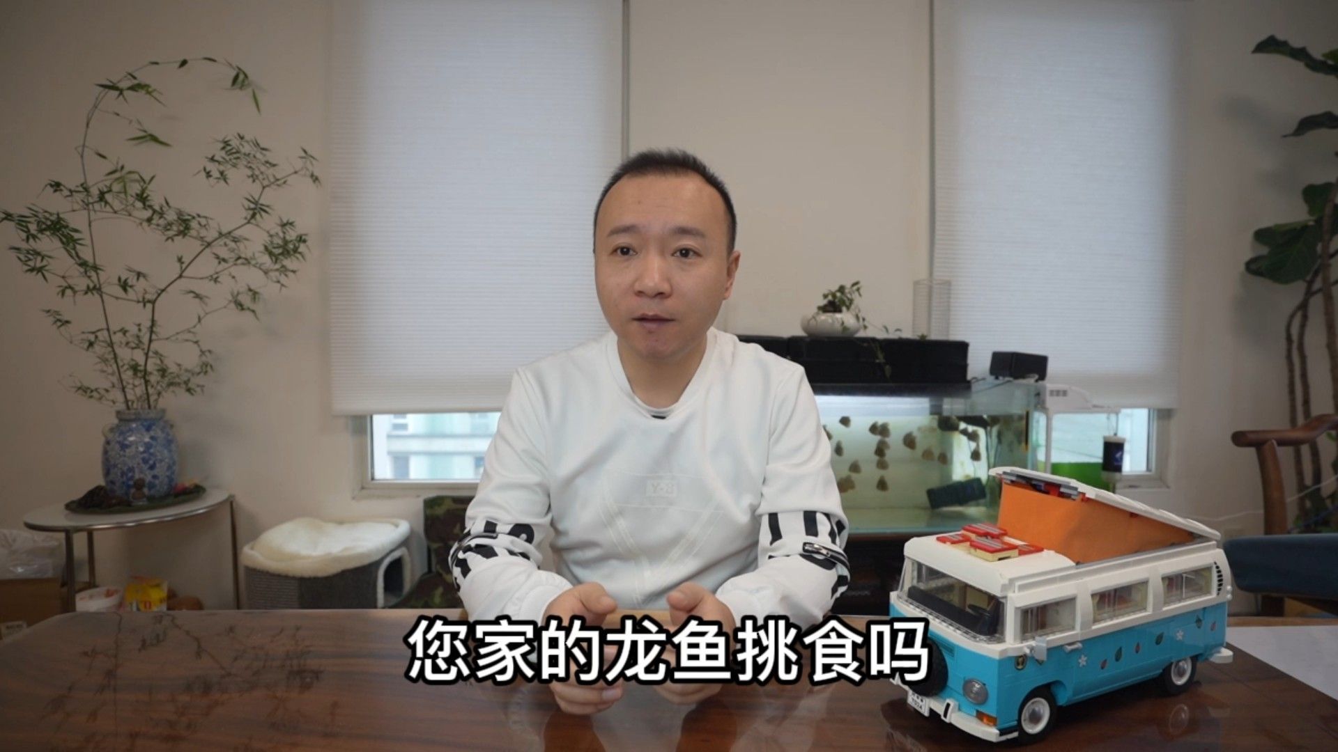 龍魚只吃面包蟲不吃小魚背后的原因及解決方案有哪些（寵物營養師，龍魚拒食怎么辦）