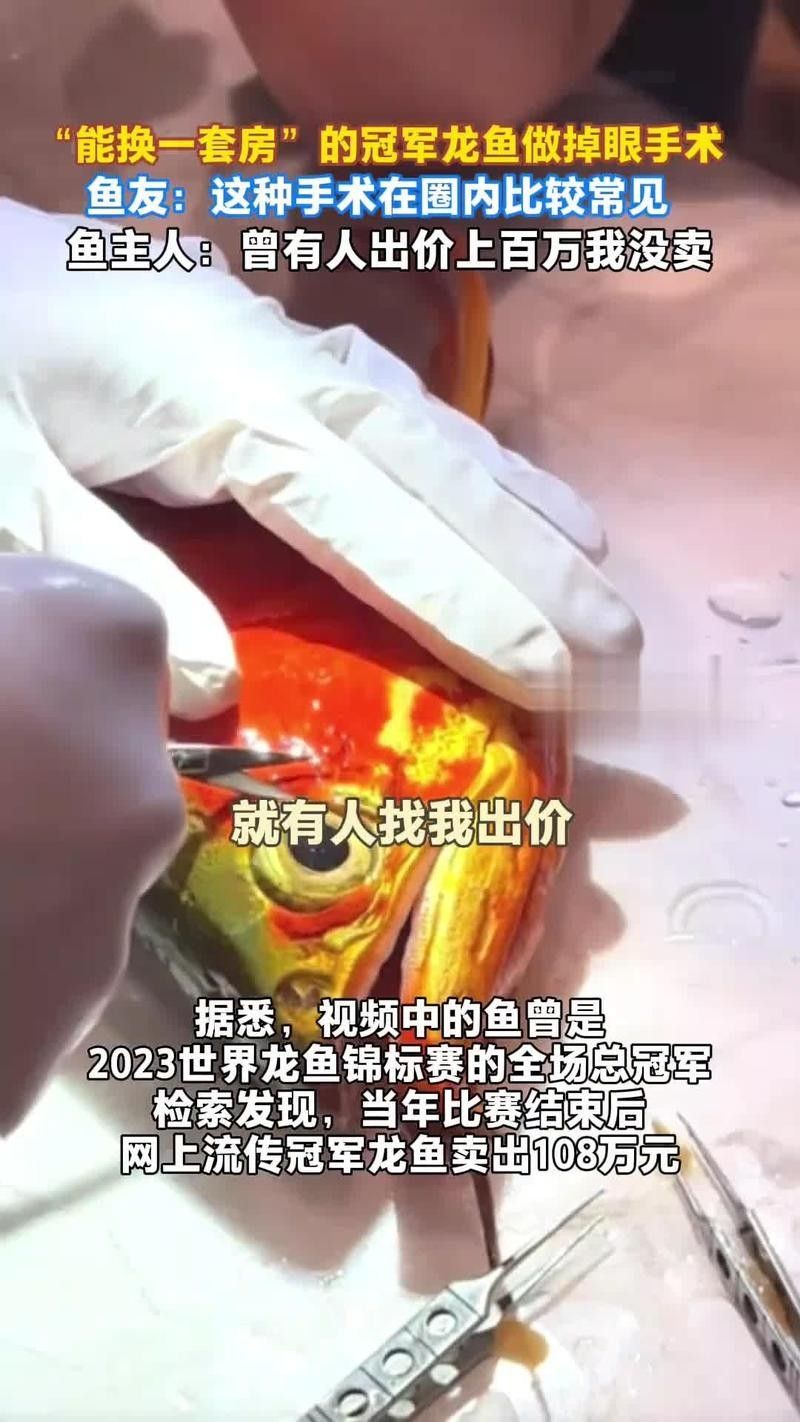 山東聊城冠縣民擁觀賞魚養殖場是否養龍魚冠縣龍魚（冠縣龍魚有哪些品種？）