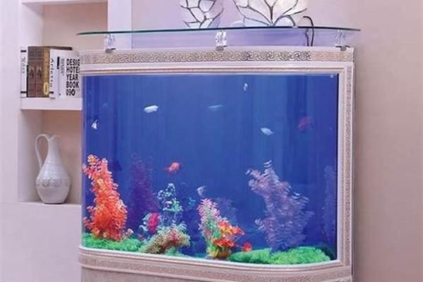 還能更紅嗎？（“還能更紅嗎”祥龍水族聯盟魚友評論最新回復）