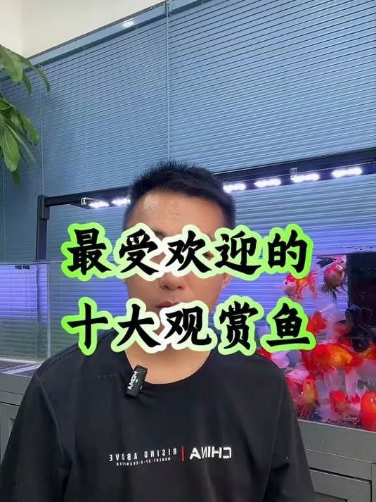 魚類排行榜前十名（2018年全球魚類排行榜前十名）