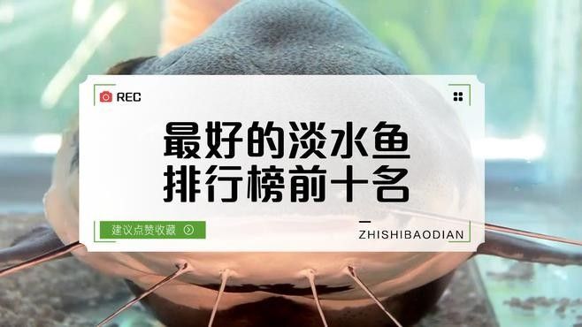 魚類排行榜前十名（2018年全球魚類排行榜前十名）