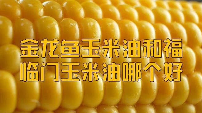 金龍魚和福臨門哪個油好福臨門和金龍魚哪個油好（福臨門和金龍魚哪個好）