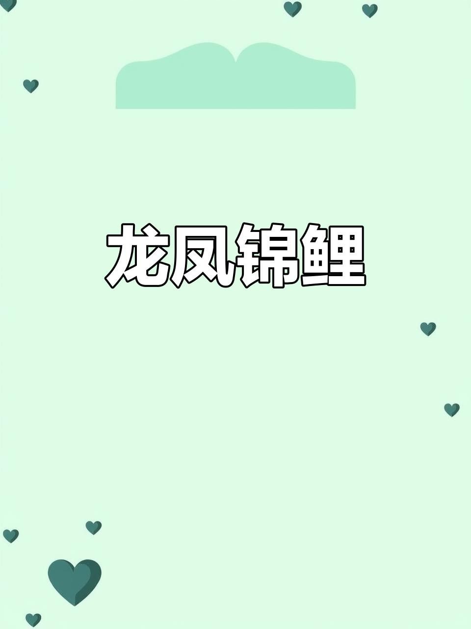 白金龍鳳魚的市場價格是多少？（白金龍鳳魚價格是多少白金龍鳳魚的衍生品種對比）