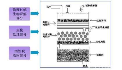 探討魚缸品牌排行榜及國家火炬計劃重點高新技術企業（國產水族箱品牌有哪些？）