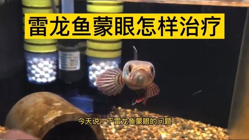如何判斷紅龍是否受到攻擊，如何判斷紅龍是否受攻擊