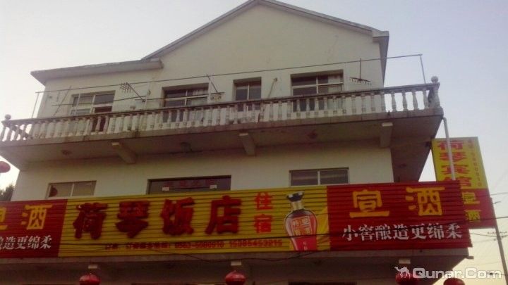 琴魚：藏在茶杯里的千年仙蹤秒懂大百科，“皖美好味道百縣名小吃”（安徽涇縣琴魚是一種獨特風味和營養價值的淡水魚類）