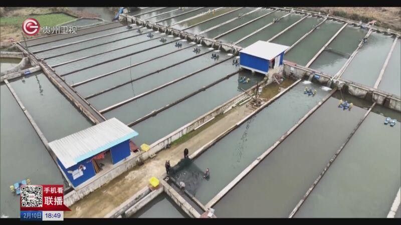 貴州省內主要的冷水魚養殖基地有哪些？（貴州省內主要的冷水魚養殖基地）