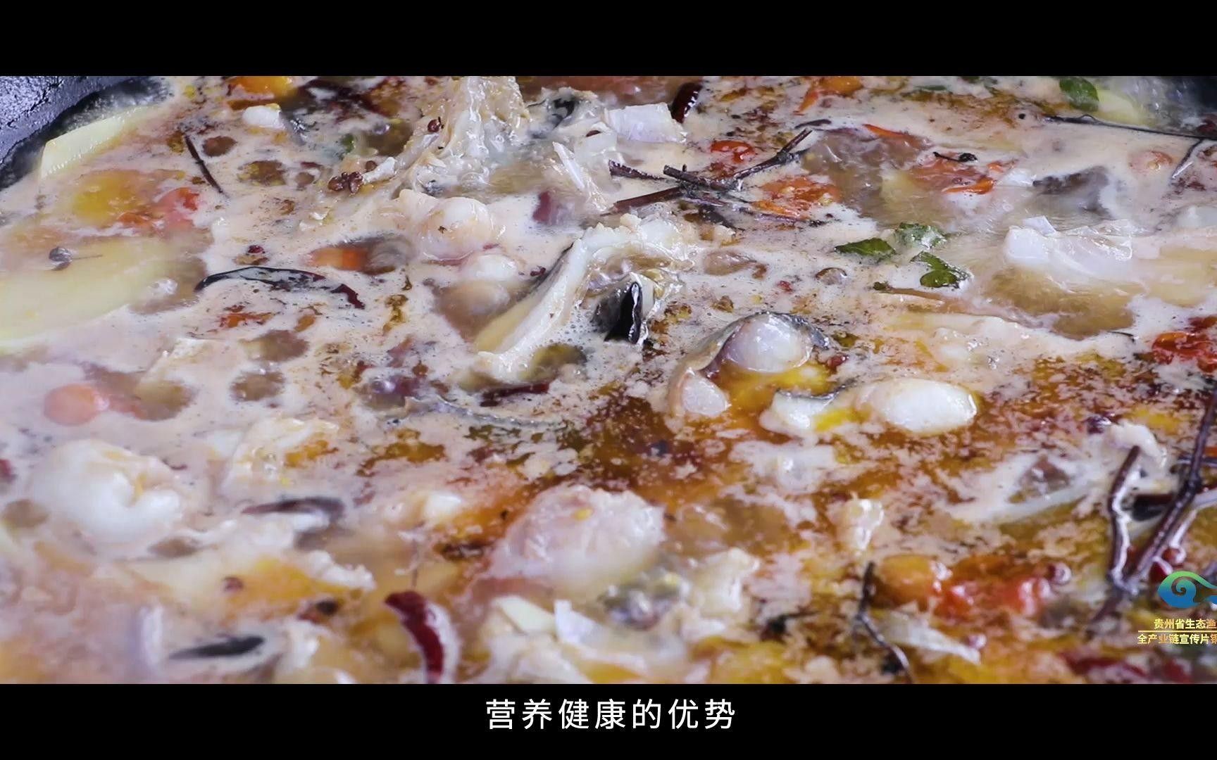 貴州省內主要的冷水魚養殖基地有哪些？（貴州省內主要的冷水魚養殖基地）
