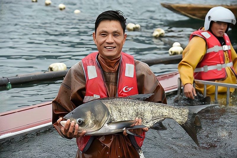 貴州省內主要的冷水魚養殖基地有哪些？（貴州省內主要的冷水魚養殖基地）