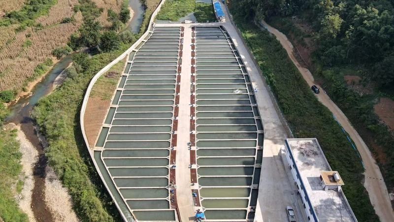 貴州省內主要的冷水魚養殖基地有哪些？（貴州省內主要的冷水魚養殖基地）