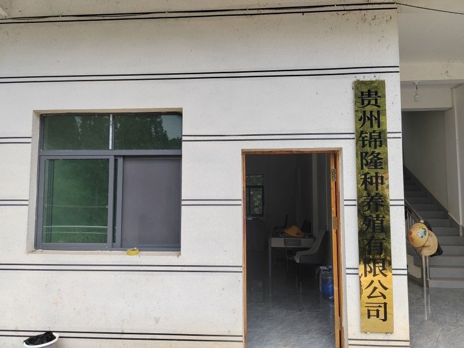 貴州省內主要的冷水魚養殖基地有哪些？（貴州省內主要的冷水魚養殖基地）