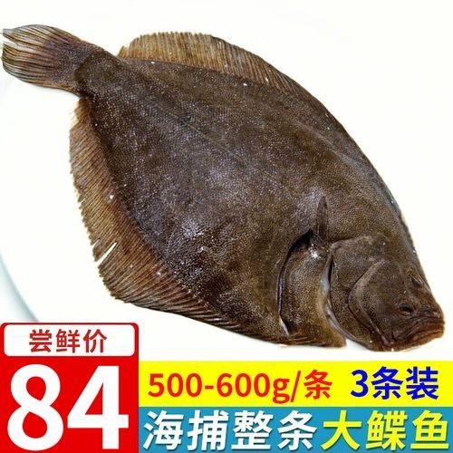 鰈魚(yú)海鮮批發(fā)、促銷價(jià)格、產(chǎn)地貨源（青島馬路邊煎鰈魚(yú)25元一條嗶哩嗶哩嗶哩嗶哩）