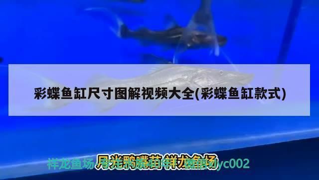 龍魚蒙眼用什么藥最有效（龍魚蒙眼用什么藥最有效呢）（龍魚蒙眼用什么藥最有效呢）