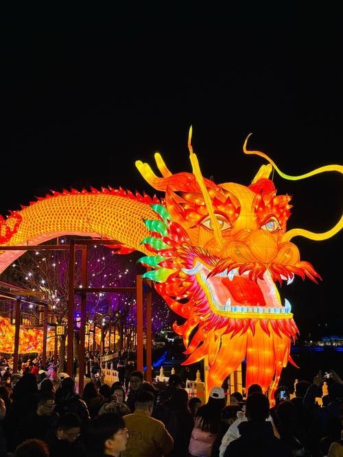 2024年龍魚燈會有哪些特色活動？（024年龍魚燈會將于農歷正月十五舉行上海豫園燈會攻略）