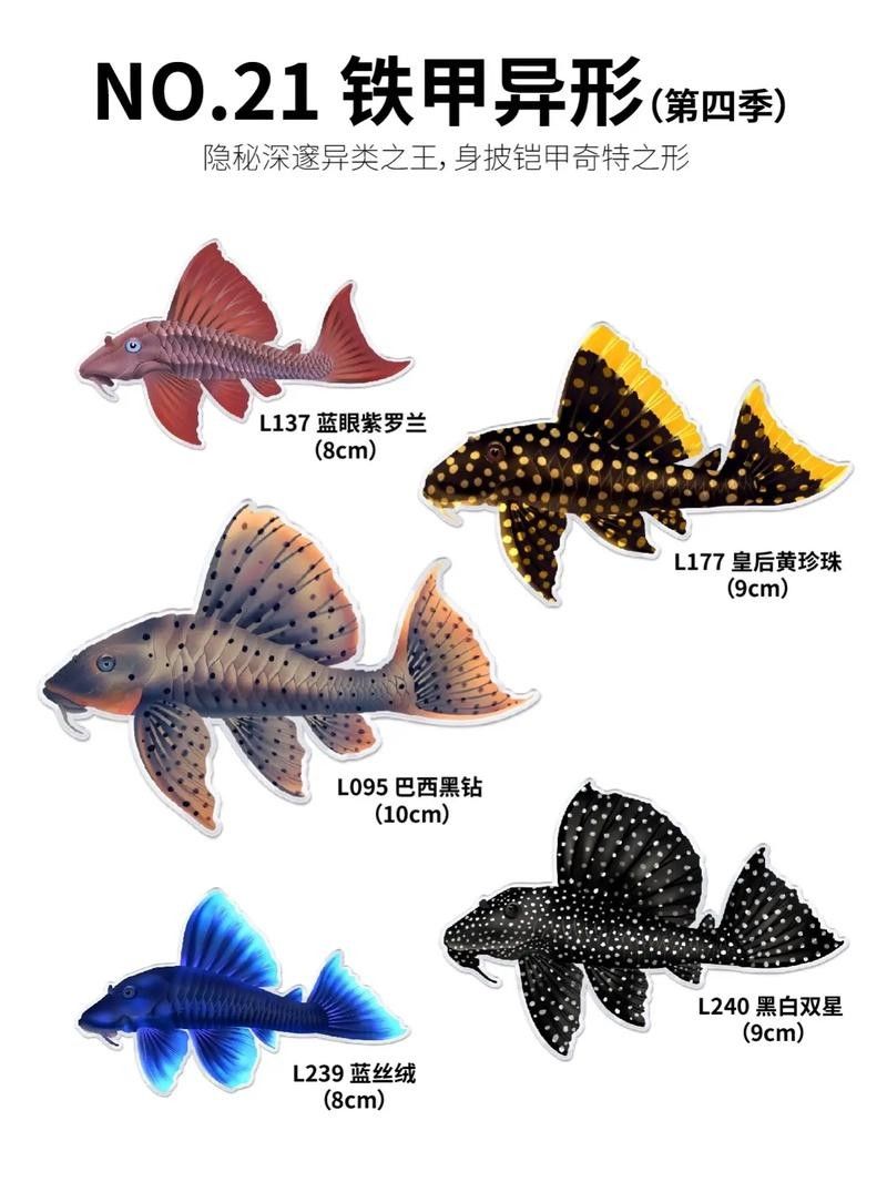 盤點十大最好看異形魚品種與獨特特征揭秘常見異形魚品種大揭秘（常見異形魚品種大揭秘,看看這些奇特魚類你認識嗎）