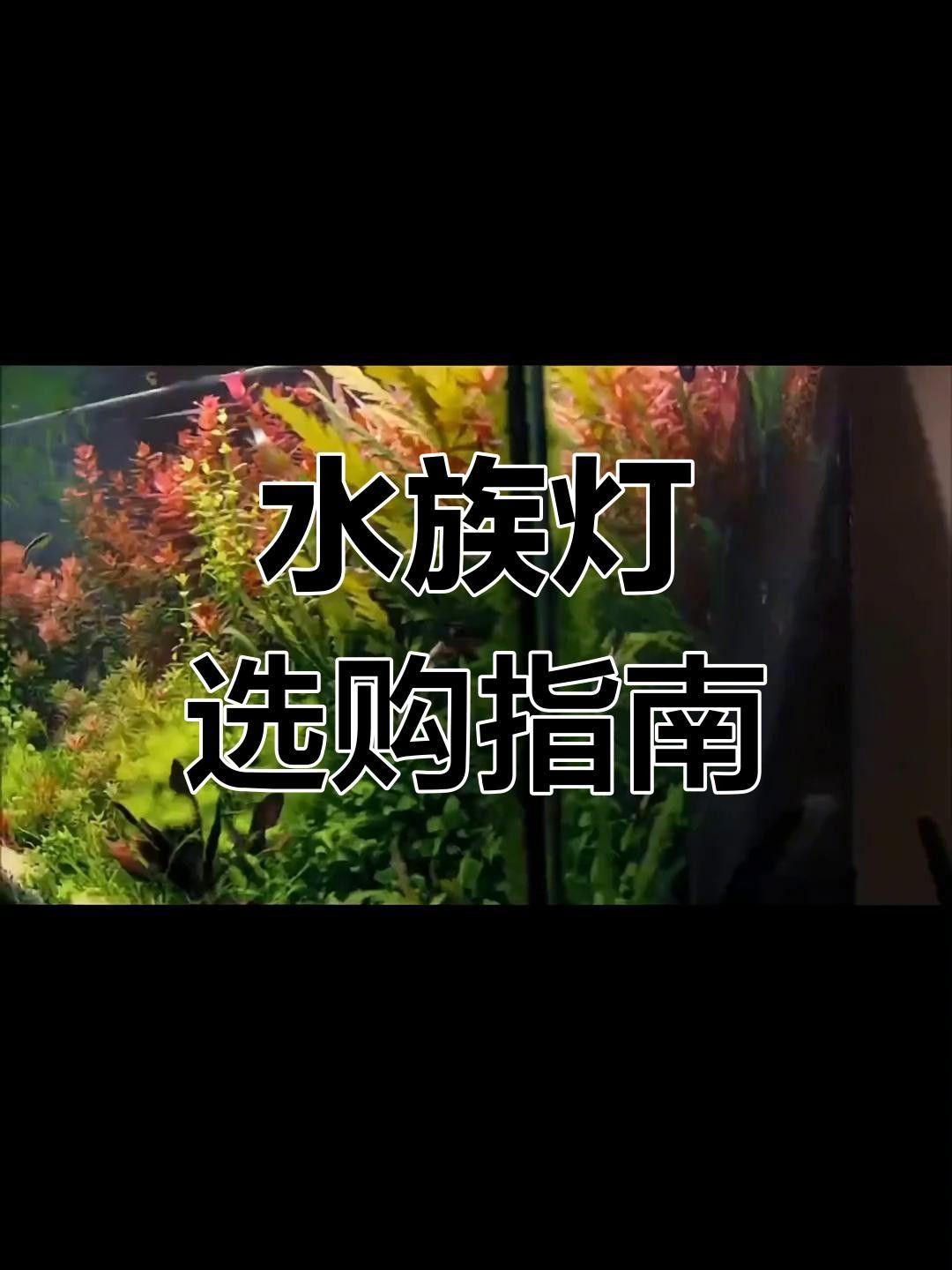 十大名牌水燈排行榜品牌網(wǎng)水下燈十大品牌排行榜品牌排行榜（十大名牌水燈排名十大名牌水燈中哪款評(píng)價(jià)最好）