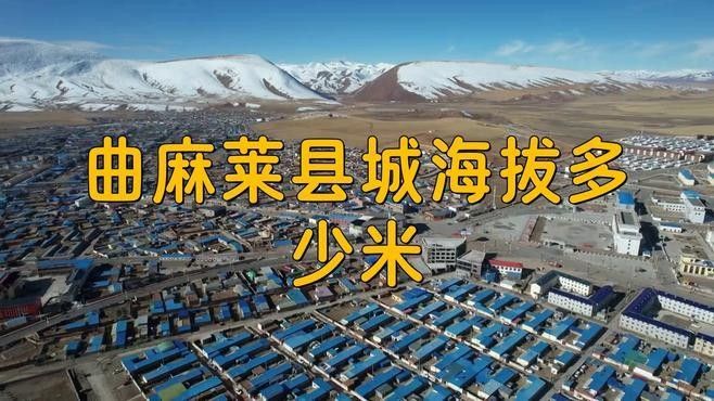 青海曲麻萊縣有哪些特色野生動物曲麻萊龍魚的養殖情況（曲麻萊龍魚是否真實存在？）