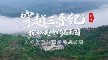 貴州關嶺魚龍化石，探尋生命演化奧秘（貴州關嶺魚龍化石在貴州省關嶺縣）