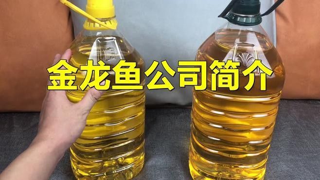 嘉禾金龍魚是否為雜牌，嘉禾金龍魚品牌排行榜前10名（嘉禾金龍魚是不是雜牌？）