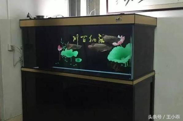 龍魚趴缸在水底不動怎么辦？教你解決龍魚趴缸問題！（龍魚趴在缸底不動怎么辦教你解決龍魚趴缸問題）