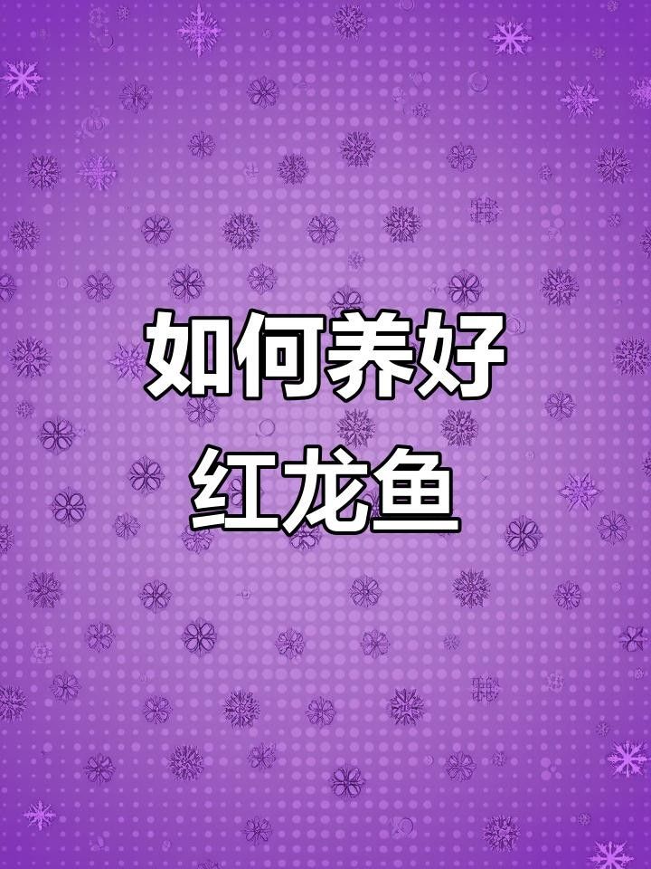 惠水紅龍魚飼養(yǎng)技巧:水質(zhì)管理全民小視頻全民小視頻（惠水紅龍魚的養(yǎng)殖技巧）
