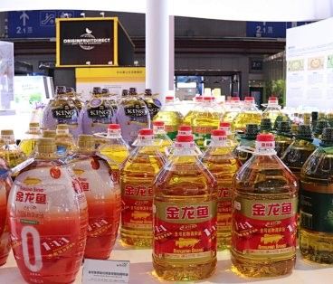 金龍魚和管城的關系是什么？（金龍魚和管城之間的關系）