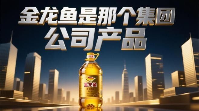 金龍魚和管城的關系是什么？（金龍魚和管城之間的關系）