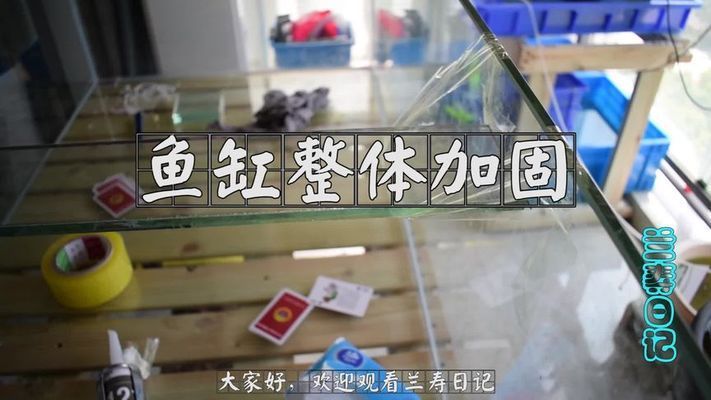 輝煌主題之主缸diy魚友歡迎欣賞,輝煌主題之主缸diy（新手diy魚缸粘缸問題）
