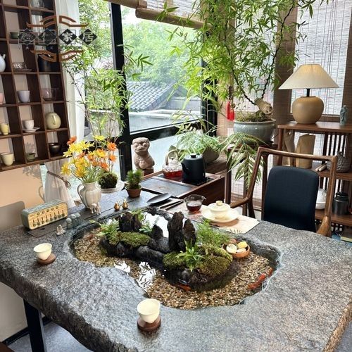 曲水金龍魚的價格范圍是多少？（曲水金龍魚價格波動大嗎曲水金龍魚多少錢一只）
