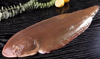 龍鱗魚和龍利魚的區(qū)別（龍鱗魚和龍利魚區(qū)別,除了龍利魚還有什么）