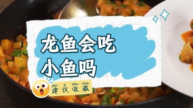 龍魚是否可以吃海里的小魚？（龍魚可以吃海里的小魚嗎）