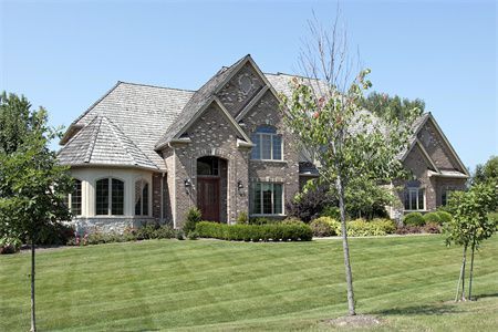 蘇州龍魚的飼養(yǎng)方法（蘇州龍魚好養(yǎng)嗎，蘇州龍魚怎么養(yǎng)）