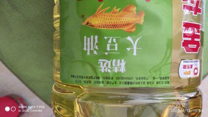 雷龍魚品種大全圖解說明及圖解說明及圖解說明及圖解（小型雷龍魚品種大全）