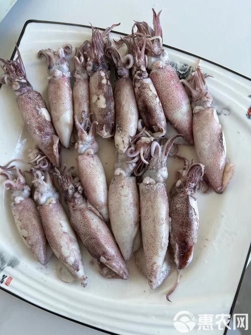印尼有哪些著名的海產品加工制品，如何辨別印尼的真偽（印尼有哪些海產品）