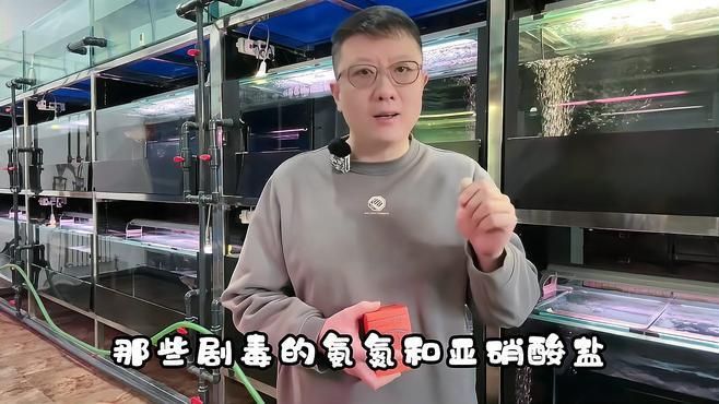 黃粉對龍魚的其他疾病有治療效果嗎？（黃粉對龍魚的副作用有哪些？）