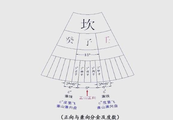 三元龍魚有哪些獨特的花紋？（三元龍魚是什么？）